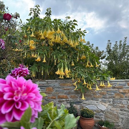 Petrichor Houses Портария Экстерьер фото