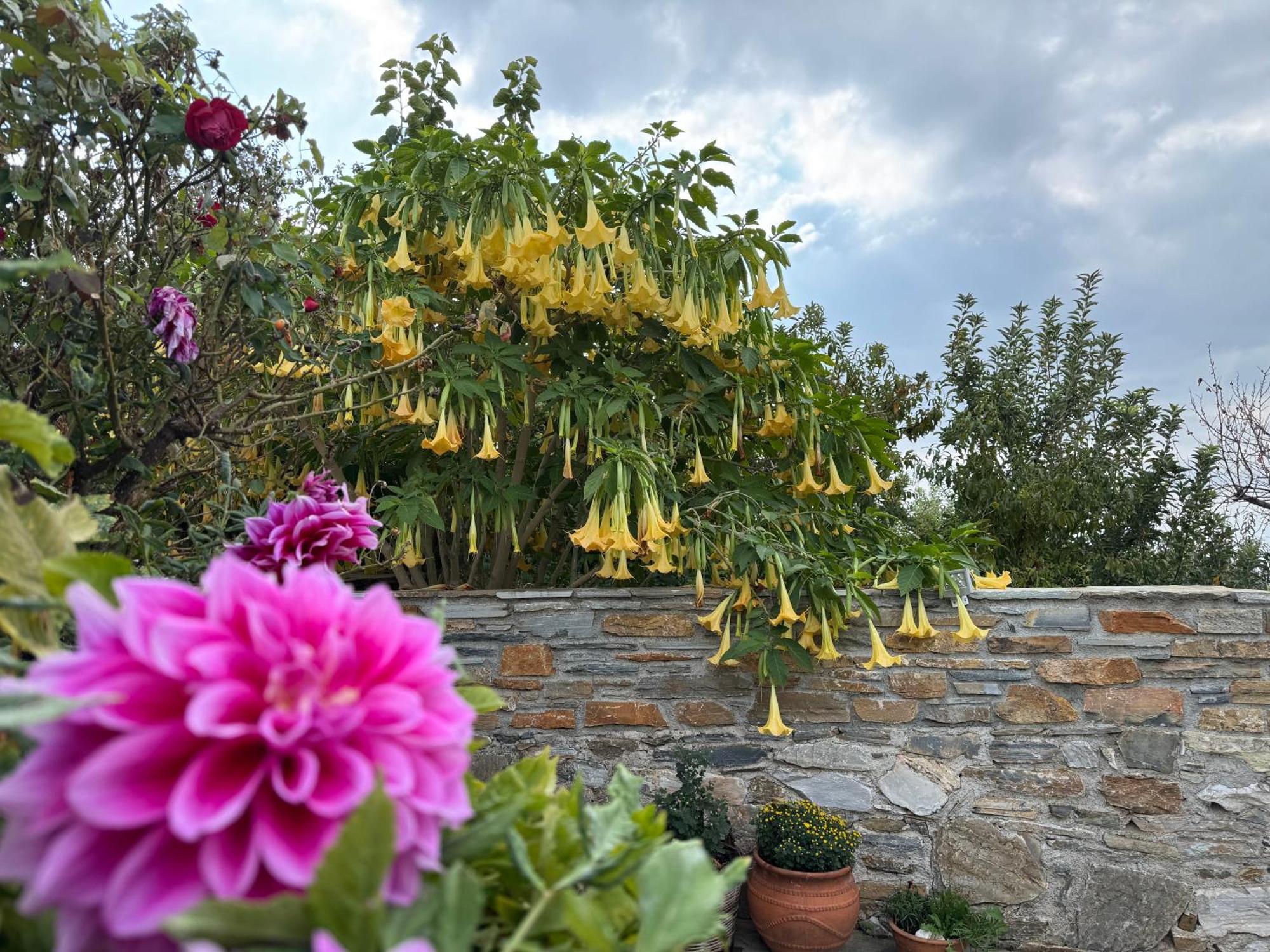 Petrichor Houses Портария Экстерьер фото